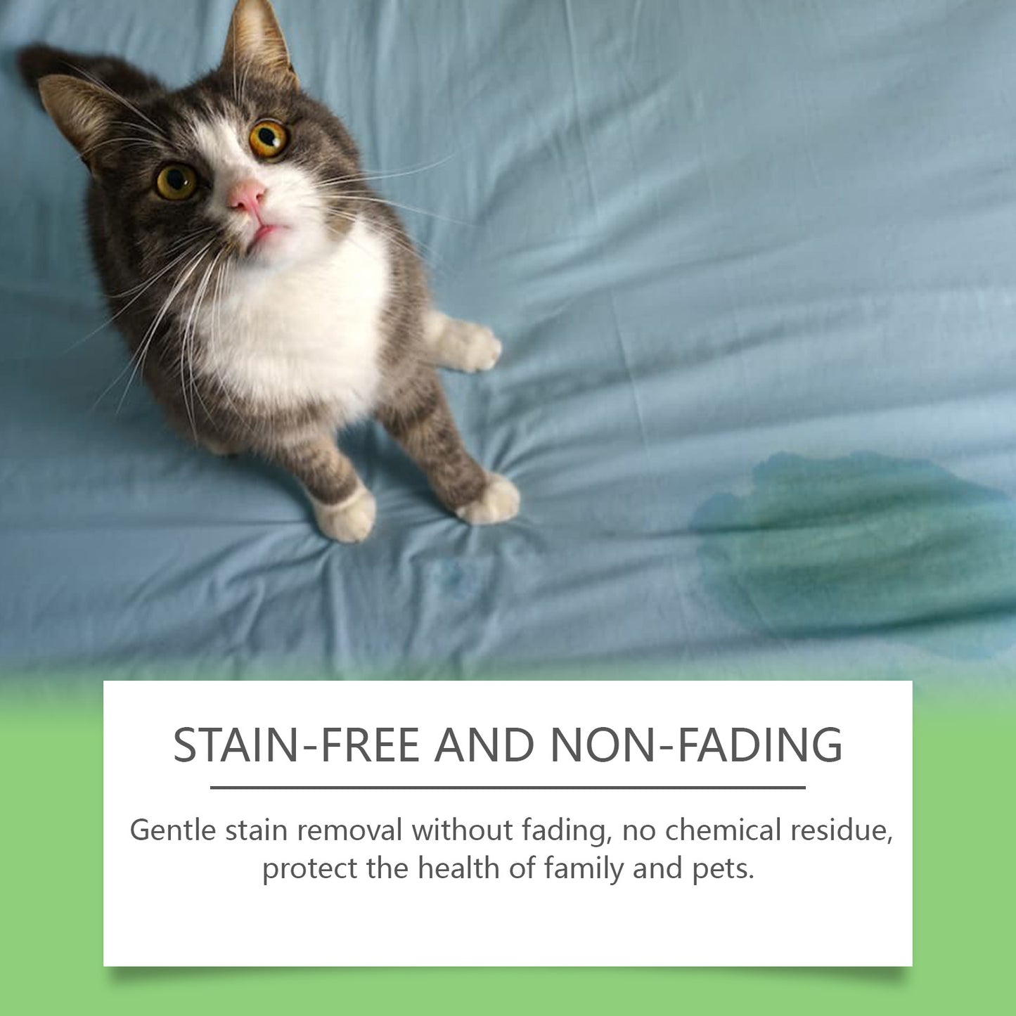 Yegbong Pet Stain Remover, Cat Dog Pet Stain Food Grease Pet Mucus Saliva Clean